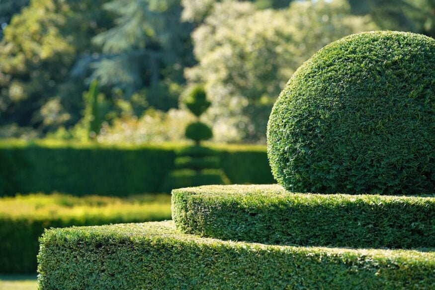 contrat d'entretien jardin